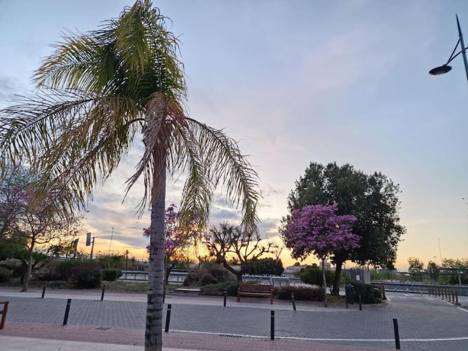 Apartamento Jacaranda Murcia Eksteriør billede